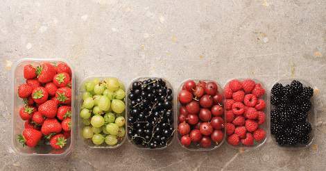 Antioxidant Supplementation