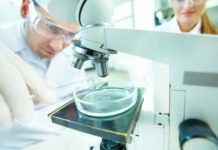 CRISPR gene-edited cells