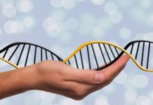 cancer immunotherapy