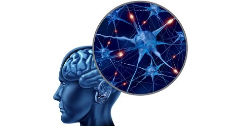 Understand-Neurodegenerative-Diseases